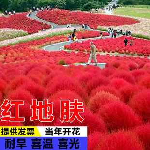 �t�N�ӾG���w�N�ӿ�ȸ�ɒ����羰�^�N�ӻ��N���ӻ���ͥԺ���w�ݷN