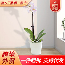 �����m֧��֧�ι̶�����������F�z������֧�μ��ӻ���ֲ��֧�ΗU