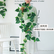 B1��������ȼ�G�}�ٗl�Ҿ��b����쾰����Gֲ���ϼ٘��~ֲ��