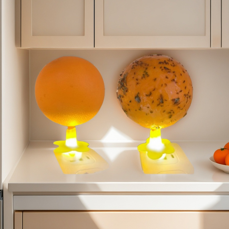 室内の発光誘虫ボールを代行して、ハエのボールを誘います。