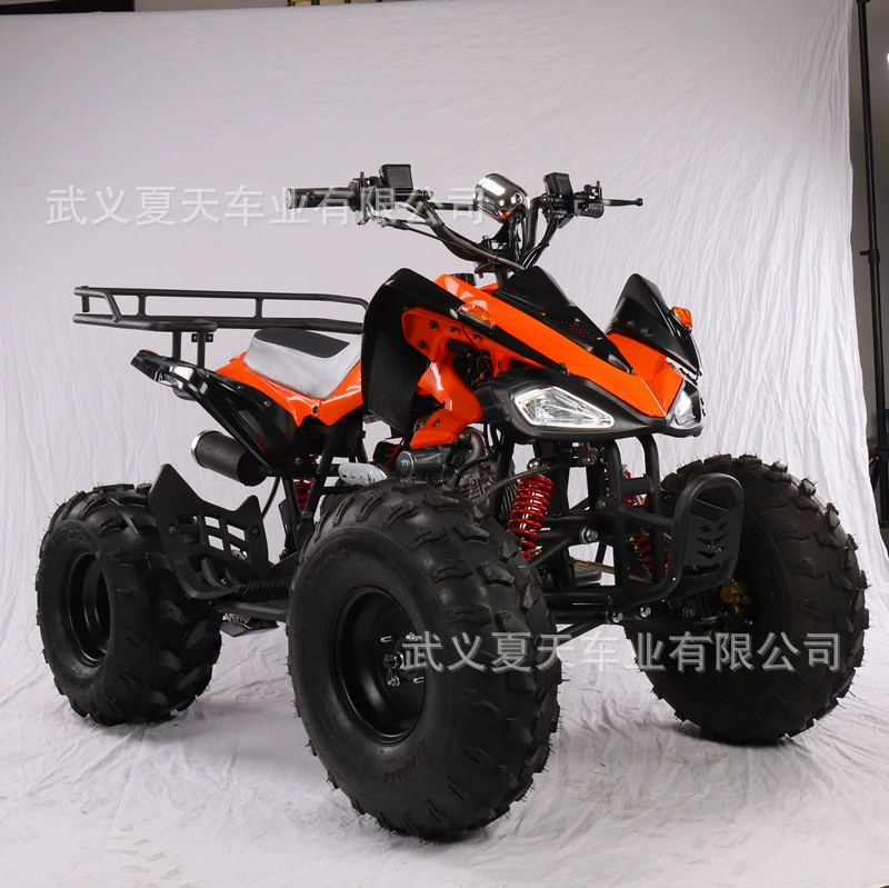 Квадроцикл бензиновый 110-125cc, пляжный автомобиль, внедорожный автомобиль, внешний вседорожный автомобиль, сельскохозяйственный автомобиль, новый снег car