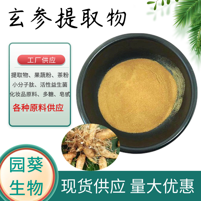 玄参提取物 10:1 玄参粉 按比例提取 现货 量大从优1kg起批 现货