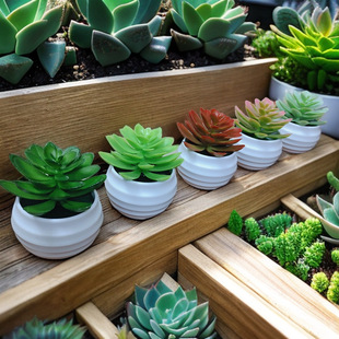 �������ֲ��Gֲ�b�ƷСɏ������С�[���M�����b�ٶ���DIY����