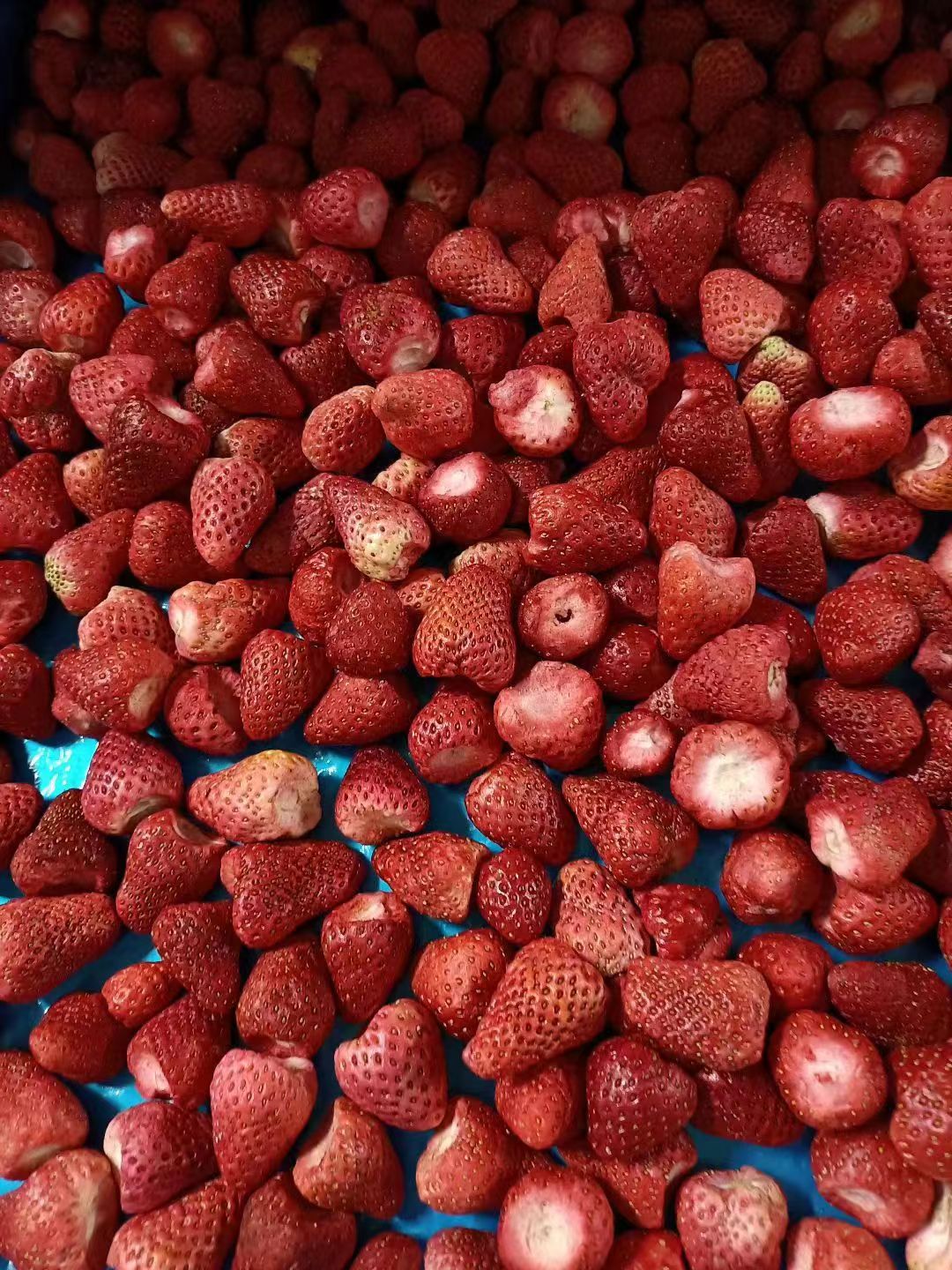 72a9a970de450e7fce19f2d47a433a