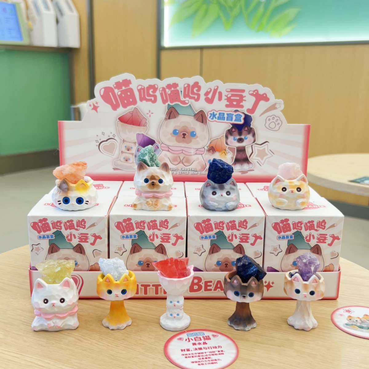 A032喵呜喵呜小豆丁 (3).jpg