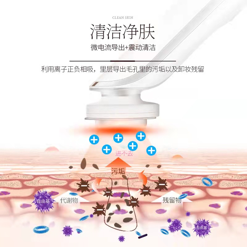 Golden Rice Introduction Instrument Beauty Instrument Wholesale Household Facial Massager Essence Mask Instrument Facial Cleansing KD9960