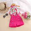 Set, summer children's clothing, jacket sleevless, children's clothing, wholesale