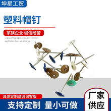 青岛塑料帽钉盖钉环纹钉大帽钉颜色规格可选多种钉子长度厂家供应