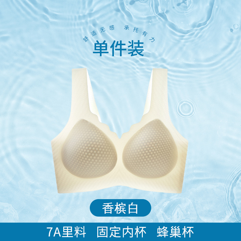 샴페인 화이트