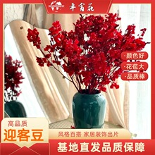 ������ӭ�Ͷ����������ɻ������� �滨�Ҿӻ�c�b����l ϲ�c��Ʒ