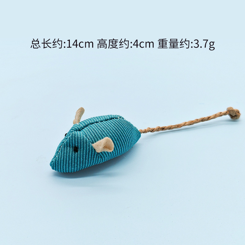 캔버스 블루