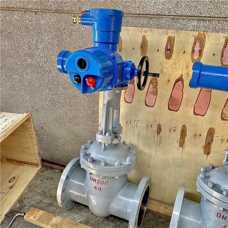 电动闸阀 化工闸阀 Z941H-16C 明杆楔式法兰连接 WCB材质 DN100