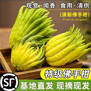 �Fժ���ָ��r�����r���ֹϿ�ʳ�û��������҃Ȕ[���幩�^�p��