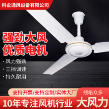 �����F�~56����� ��퓵������� �L�����ŌWУ���Ṥ�S����