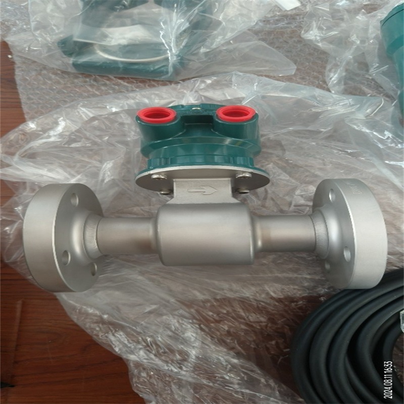 YOKOGAWA横河AXF040G电磁流量计AXG040 AXG4A协议HART科隆E+H双环