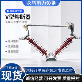 定制户外高压跌落式熔断器HRW12-12F/100A-200A变压器开关熔断器