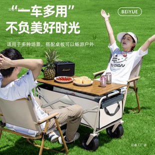 Camping Cart, Camp Trailer, Outdoor Folding Camping Trolley, Picnic Cart, Express Cart, Kidsren's Reclining Cart
