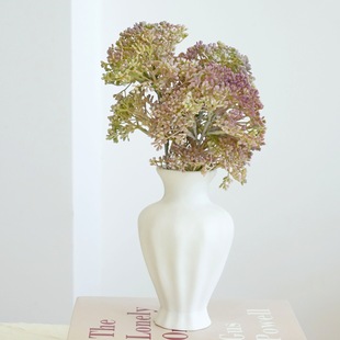 ����Gֲ���й��廨��ˇ�������Ҿ��bƵ�ܛ�b�羳���N����ֲ��