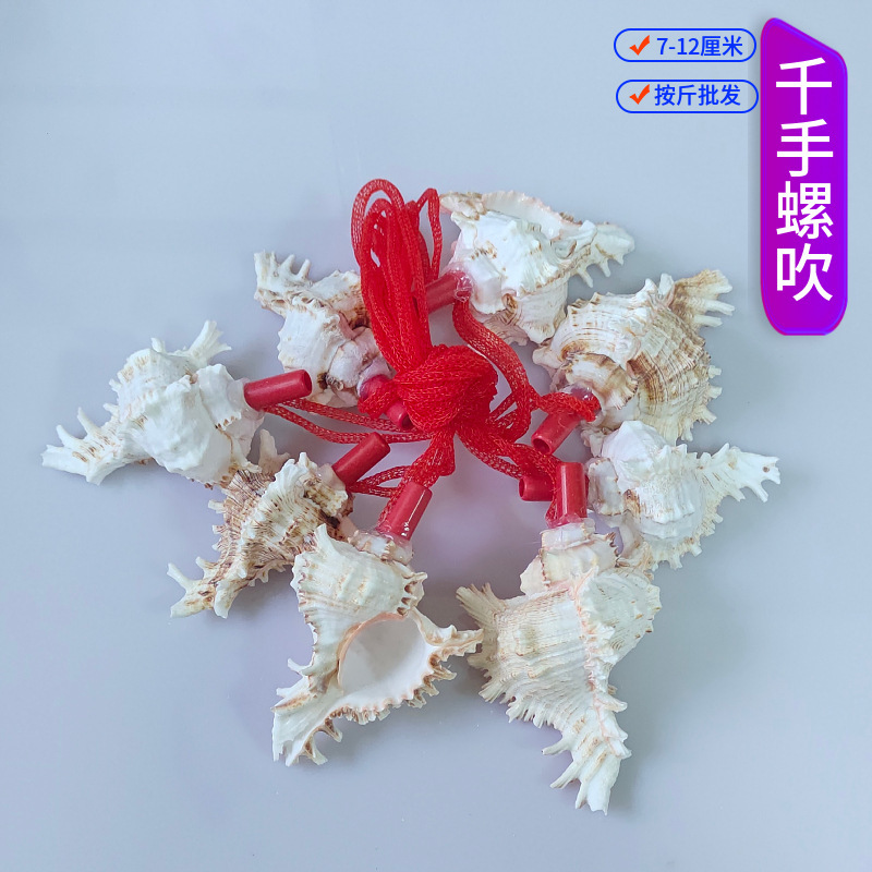 露店の装飾品、さまざまな貝殻、巻貝の工芸品、貝殻、巻貝の笛、子供のおもちゃ、巻貝の笛の卸売|undefined
