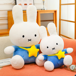 �׷���ë�q�����U��˹������ż������Ϧ�Y�����Ǳ�����������