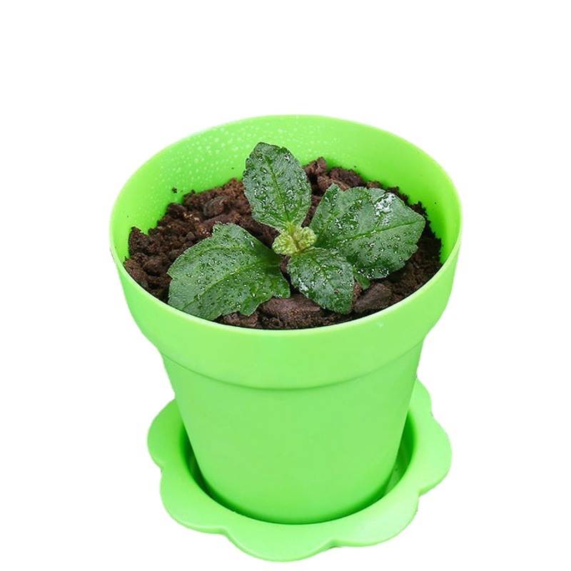 Disposable Thickened pp Material DIY Potted Plant Raising More Meat Potted Flower Pot Cake Ice Cream Mousse Cup Wood Bran Cup