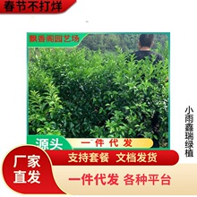 ɳ�ǽۘ����ϱ����Nֲ�o��ɰ�����Ә���޽ӽ��Ә�����Ԯ���Y��