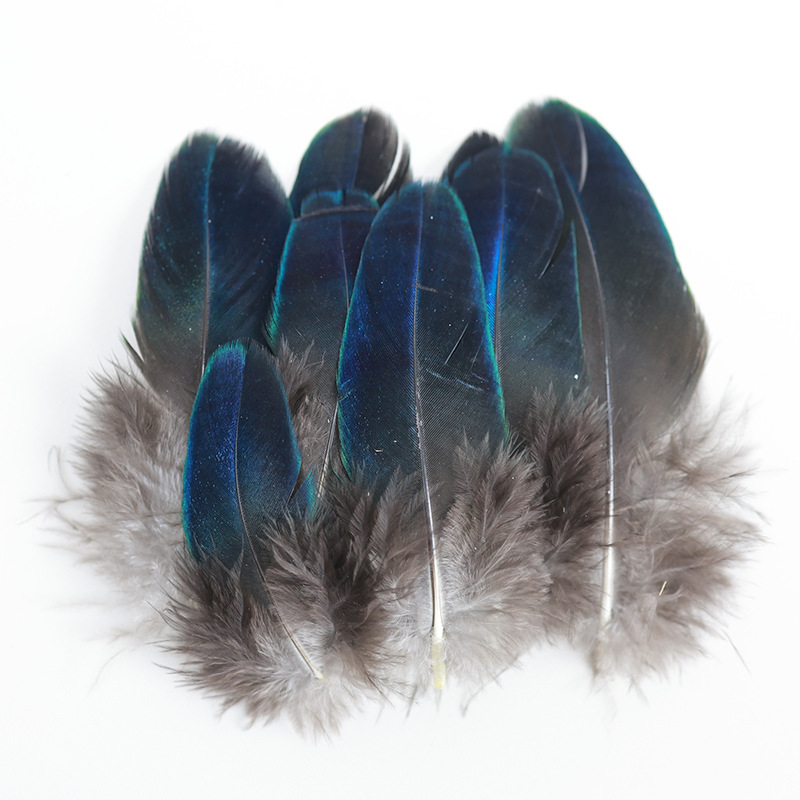 Fábrica al por mayor de bricolaje plumas pequeñas plumas naturales plumas de pollo salvaje plumas de pato jardín de infantes joyas hechas a mano gato divertido material de captura de sueños