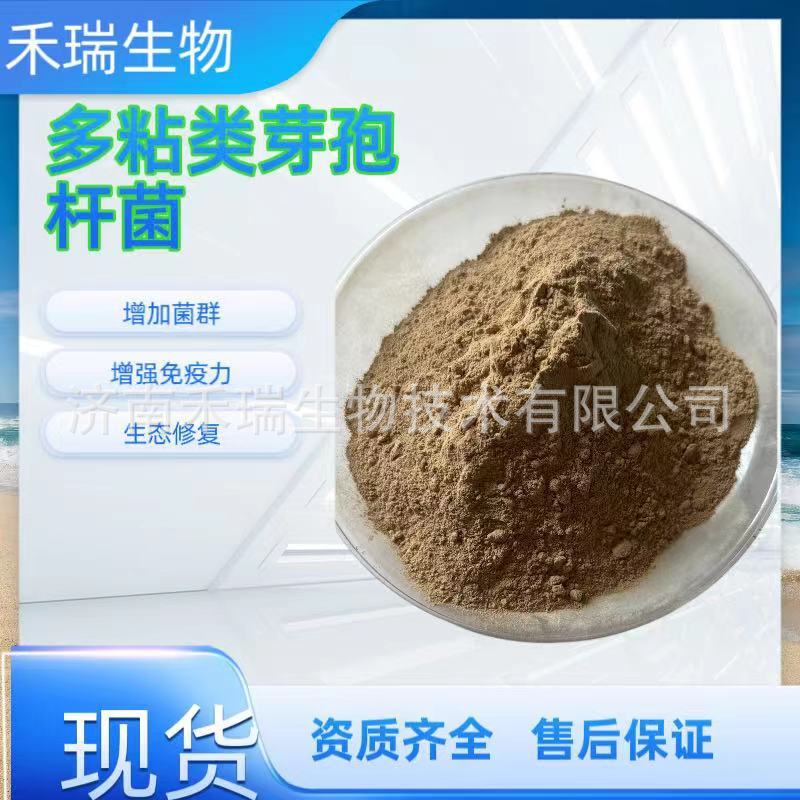 多粘类芽孢杆菌 微生物菌剂 抗病害促生长 多粘类芽孢杆菌
