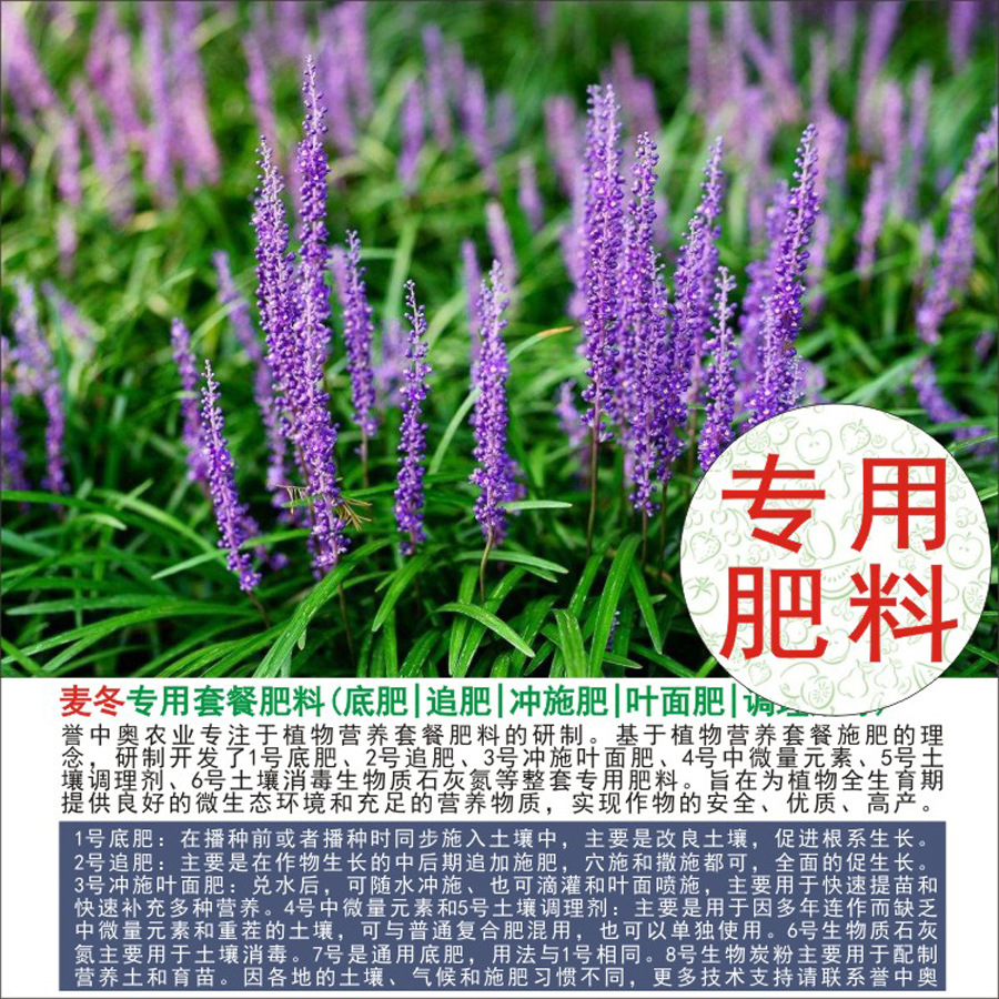 50�����а���ר���л��ʸ��Ϸʵ׷�׷��Ҷ��ʳ�ʩ��ˮ�ܷ�