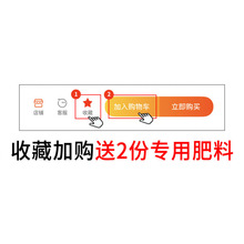 ��1��6���硿�Nޱ�����ٱ��¼��ش�����ֲ���ļ���������õ�廨