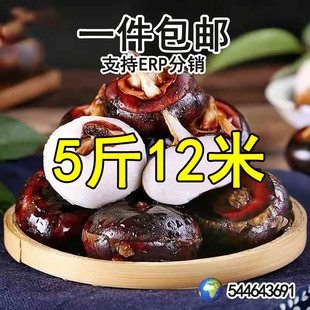 ���r�F���R��ݩ�j3/9��Ƥ����֭ζ�����ɿڕr��ˮ���߲�