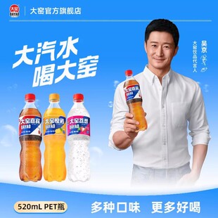 ��G���e���Z��ˮ��ζ���̼�����520mL*8ƿ����ˮ