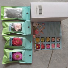 ӹNײ WУNֲw  dȤM ⳬϼ 