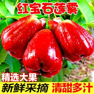 ɏ�F���������rˮ��5��t��ʯ�����B�F�����Һڽ����Fժ������]