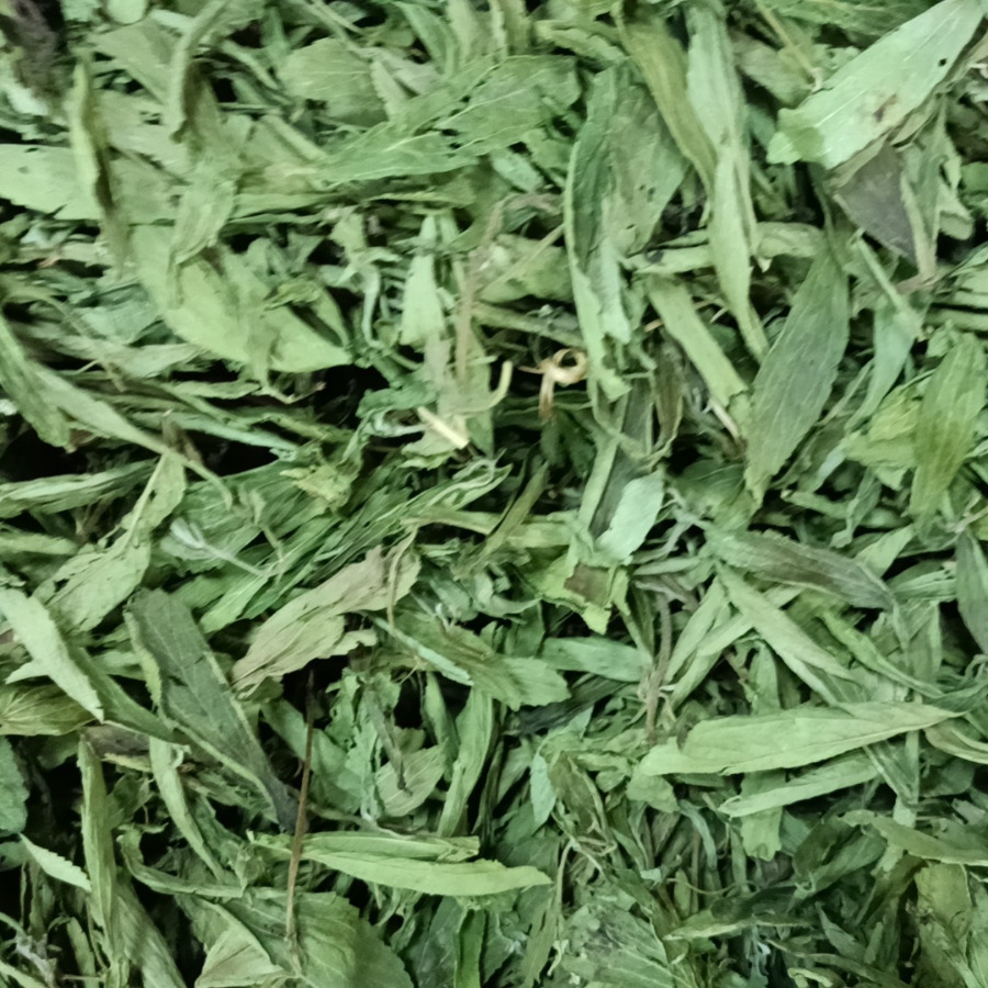 甜叶菊甜菊叶甜味代替糖饮料伴侣泡茶煲凉茶散装批发花草茶无糖
