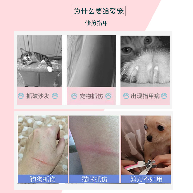 O1CN01surg3m2EeiDTJEF0N_!!2210