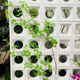 ����ֲ��Gֲ���l��֦�h���^��ɏ�~���ָ��z���٘��~�廨�b[��