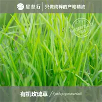 Органическое эфирное масло розы Мадагаскар односторонний эфирное масло Ароматерапия Ароматерапия Ароматическое масло Массаж Сырье эфирного масла