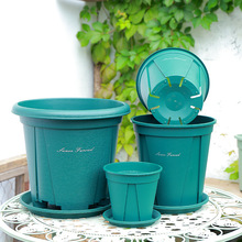 �S�ҼӺ���ɽ��ظ��� �¼�ɏ�Nֲ������͸��Gֲ�Ӂ��軨�����l