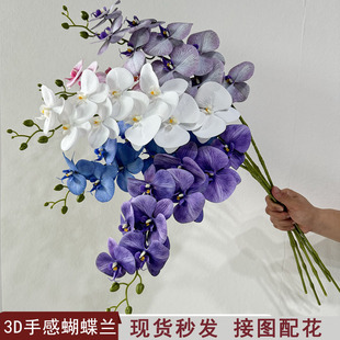 3D��������m��c��Y�Ƶ��҃�ܛ�b�������·�����羳���N���滨