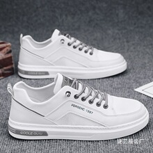 ������2025�ļ��¿����eЬ����Ь�W��͸���\��Ьһ�_�Ű�ЬС���l