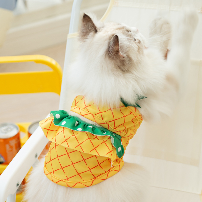Primavera y verano gato lindo Sling pequeño dinosaurio estilo traje de baño Sling perro natación bikini ropa para perros mascotas