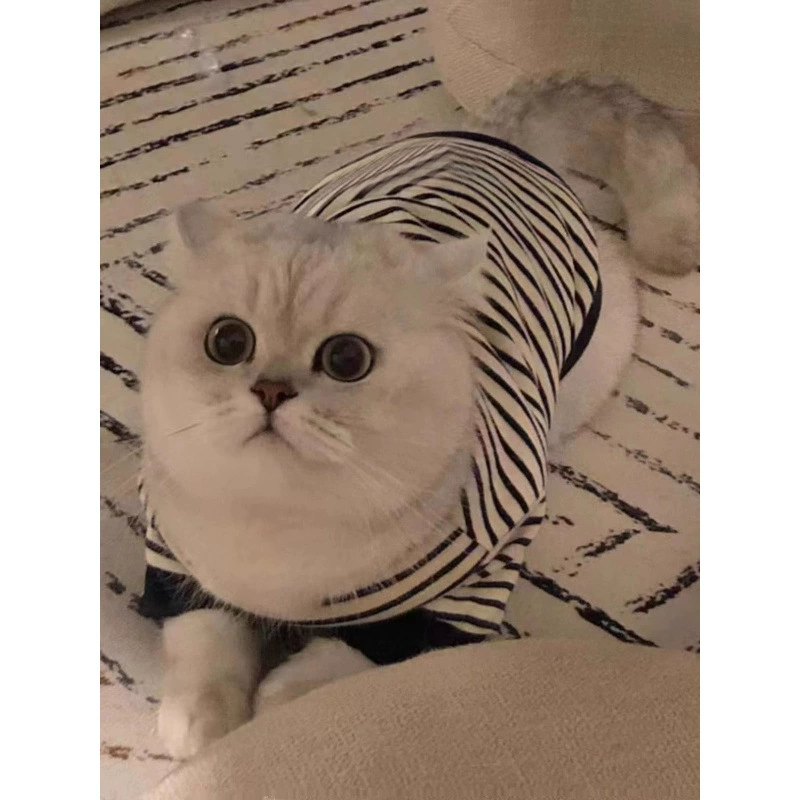 Весенние и осенние домашние кошки и собаки одежда Four Seasons прилив красивые маленькие сиськи короткие куклы