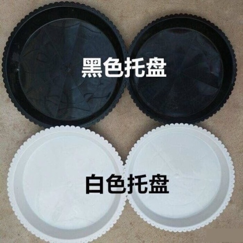 Extra-large flower pot perfect for growing bougainvillea—tall pots, high cylindrical planters, and large containers ideal for camellias, plus root-control pots.