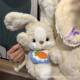 Good night darling rabbit plush toy doll cute bib radish rabbit net red rabbit sleeping pillow gift