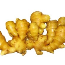 大量供应生姜等，生姜 ginger，欢迎前来咨询