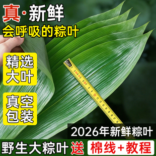 ���l���r���~���ô��~��̖�����ӵ��~����հ��b���~Ұ�������~