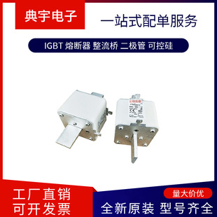 Fuse 170m6817 6827 6828 6829 6830 6831 6832 Complete Models