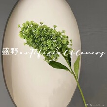 �����֧��G���}�}�Q��c�Ҿӿ羳��c�����[�Ŵ�����ٶ�ɫ���x