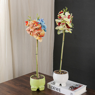 羳С_Ѿ⻨脓kGֲС[滨mbƷ